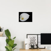 Dew drop White Arum Lily Poster (Thuiskantoor)