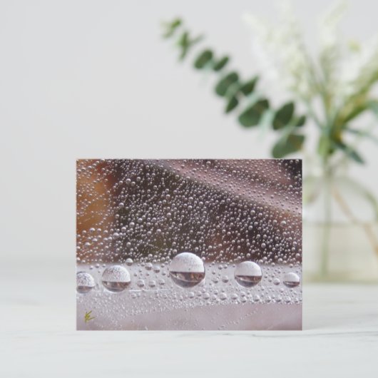 Dew Drop Yin Yang Nature Meditation  Briefkaart (Staand voorkant)