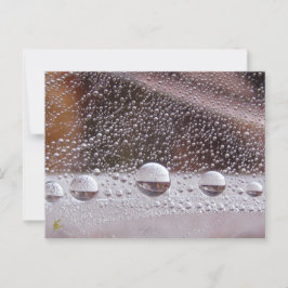 Dew Drop Yin Yang Nature Meditation  Briefkaart