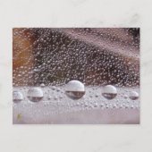 Dew Drop Yin Yang Nature Meditation Briefkaart (Voorkant)