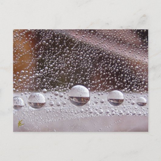 Dew Drop Yin Yang Nature Meditation  Briefkaart (Voorkant)