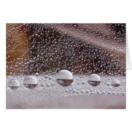 Dew Drop Yin Yang Vreedzame Natuur Kaart met gedic