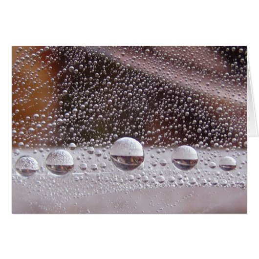 Dew Drop Yin Yang Vreedzame Natuur Kaart met gedic (Voorkant Horizontaal)