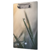 Dew Droplet op Grass Floral Natuur Foto Klembord (Links)