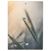 Dew Droplet op Grass Floral Natuur Foto Klembord (Achterkant)