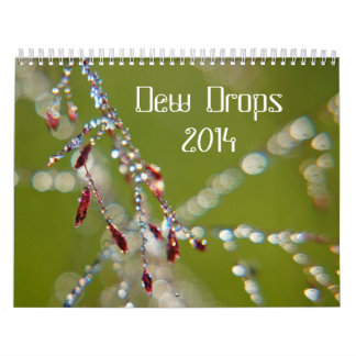 Dew Drops 2014 Agenda Kalender