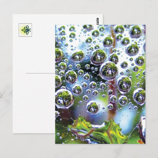 Dew Drops Cascade into Sky, Mesmerizing Botanical Briefkaart (Voorkant / Achterkant)