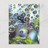 Dew Drops Cascade into Sky, Mesmerizing Botanical Briefkaart (Voorkant)