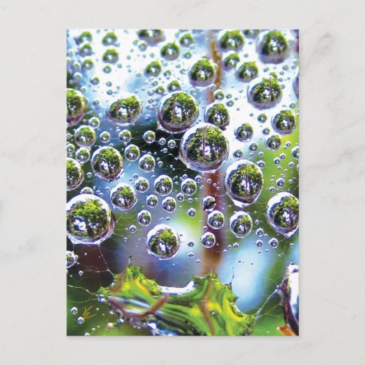 Dew Drops Cascade into Sky, Mesmerizing Botanical Briefkaart (Voorkant)