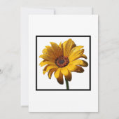 Dew Drops Daisy Wedding Kaart (Achterkant)