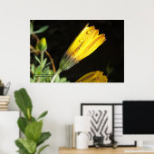 Dew Drops on a Yellow Daisy - Foto afdrukken Poster (Thuiskantoor)