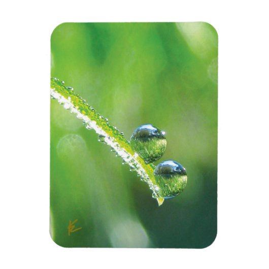 Dew Drops on Green Grass Peaceful Nature Magneet (Verticaal)