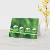 Dew Drops on Green Grass Poëzie van de Natuur Kaart (Gele Bloem)