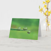 Dew Drops on Green Grass Poëzie van de Natuur Kaart (Gele Bloem)