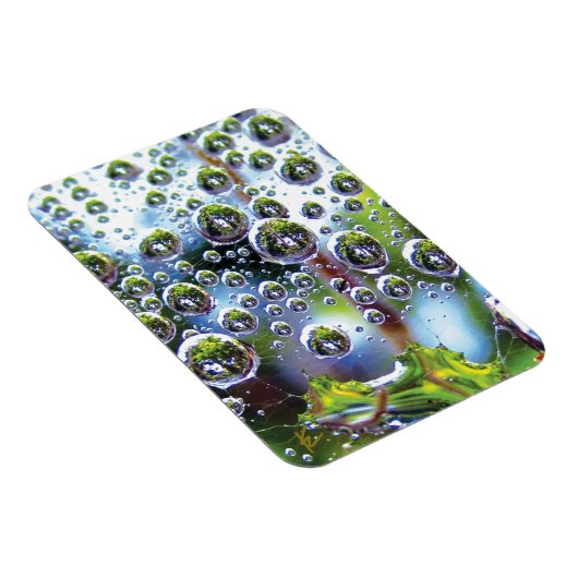 Dew Drops on Spider Web Amazing Nature Magneet (Rechterzijde)