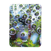 Dew Drops on Spider Web Amazing Nature Magneet (Verticaal)