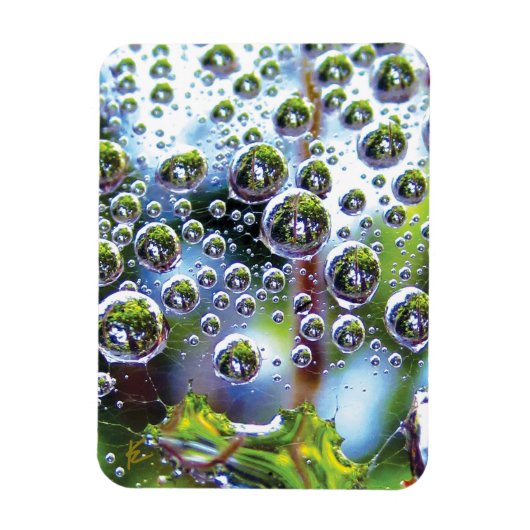 Dew Drops on Spider Web Amazing Nature Magneet (Verticaal)