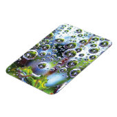 Dew Drops on Spider Web Amazing Nature Magneet (Linkerzijde)