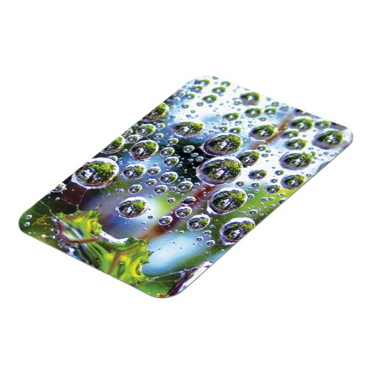 Dew Drops on Spider Web Amazing Nature Magneet (Linkerzijde)