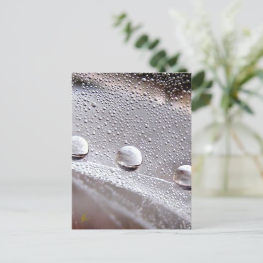 Dew Drops on Spider Web Galaxy Nature Briefkaart (Staand voorkant)