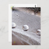 Dew Drops on Spider Web Galaxy Nature Briefkaart (Voorkant / Achterkant)