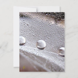 Dew Drops on Spider Web Galaxy Nature Briefkaart