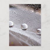 Dew Drops on Spider Web Galaxy Nature Briefkaart (Voorkant)