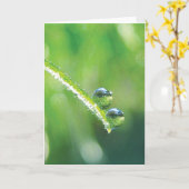 Dew Drops op Green Grass Earth Reflections Kaart (Gele Bloem)