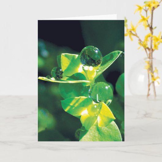 Dew Drops op groene bloemblaadjes Vreedzame Natuur Kaart (Gele Bloem)