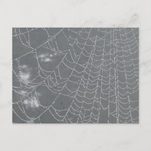 Dew Drops Spider Web DIY Briefkaart
