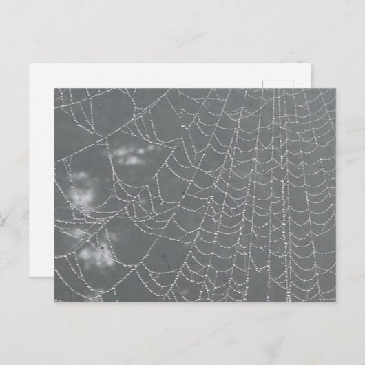 Dew Drops Spider Web DIY Briefkaart (Voorkant / Achterkant)