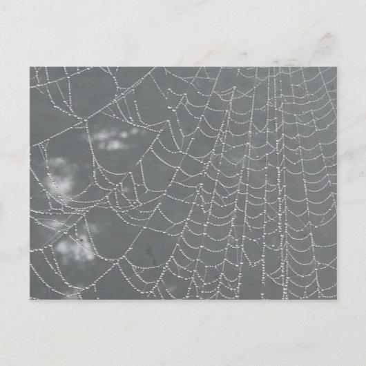 Dew Drops Spider Web DIY Briefkaart (Voorkant)
