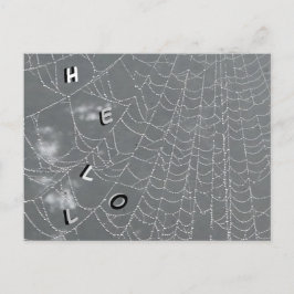 Dew Drops Spider Web HALLO Briefkaart