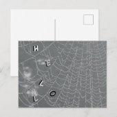 Dew Drops Spider Web HALLO Briefkaart (Voorkant / Achterkant)