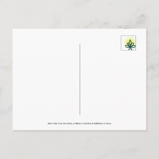 Dew Drops Water Slide Playful Nature Briefkaart (Achterkant)