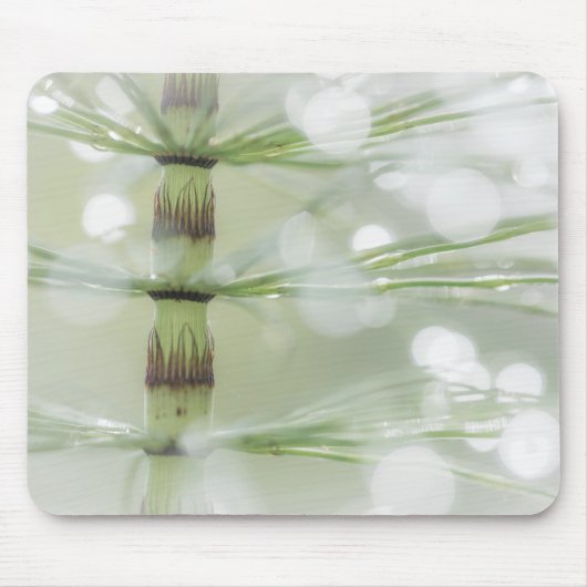 Dew Druppels op paardenstaart-Plant | Seabeck, WA Muismat (Voorkant)