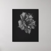 Dew-Kissed Petals in het donker Canvas Afdruk (Voorkant)
