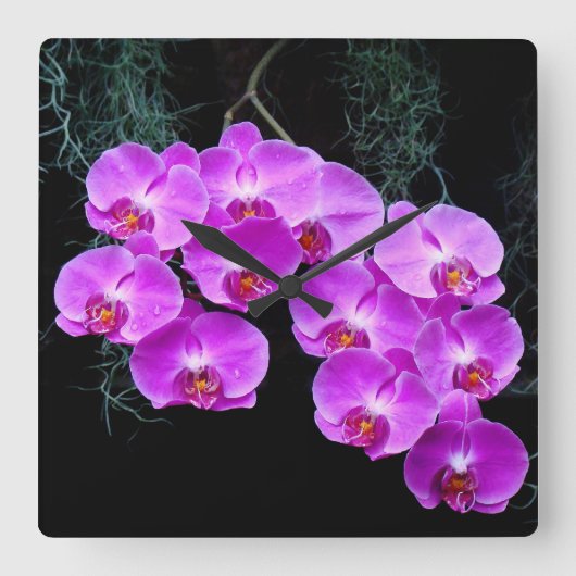 Dew Kust Orchids Wall Clock Vierkante Klok (Voorkant)