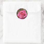 Dew kuste Pink Rose Ronde Sticker (Tas)