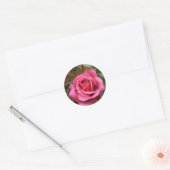 Dew kuste Pink Rose Ronde Sticker (Envelop)