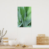 Dew on Blades of Grass Poster (Keuken)