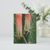 Dew op Aloe Bloom  Briefkaart (Staand voorkant)