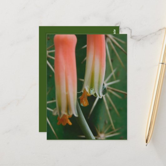 Dew op Aloe Bloom  Briefkaart (Voorkant / Achterkant in situ)