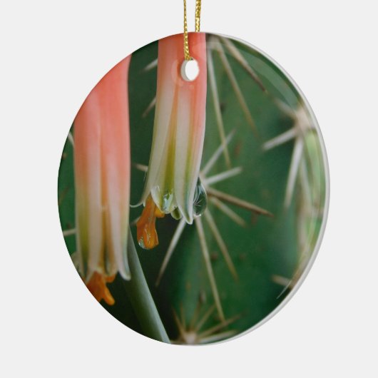 Dew op Aloe Bloom Keramisch Ornament (Links)