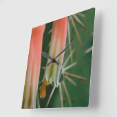 Dew op Aloe Bloom Vierkante Klok (Hoek)
