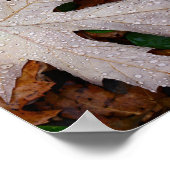 Dew op gevallen herfstbladeren fotografie poster (Hoek)