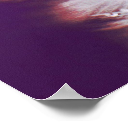 Dew. op Paarse roze dandalion Macro Abstract Poster (Hoek)