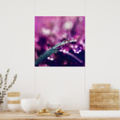 Dew. op Paarse roze lef Macro Abstract Poster (Keuken)