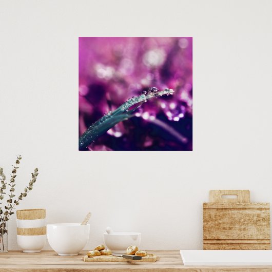 Dew. op Paarse roze lef Macro Abstract Poster (Keuken)