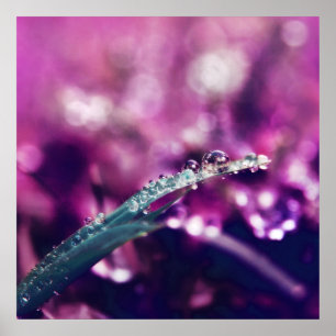 Dew. op Paarse roze lef Macro Abstract Poster